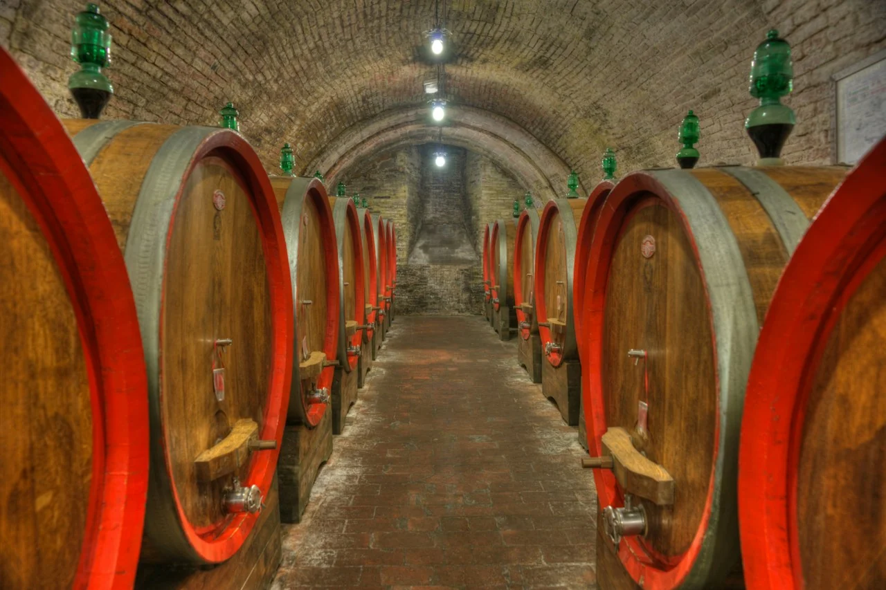 Rows of large wooden wine casks beneath an arched brick cellar ceiling