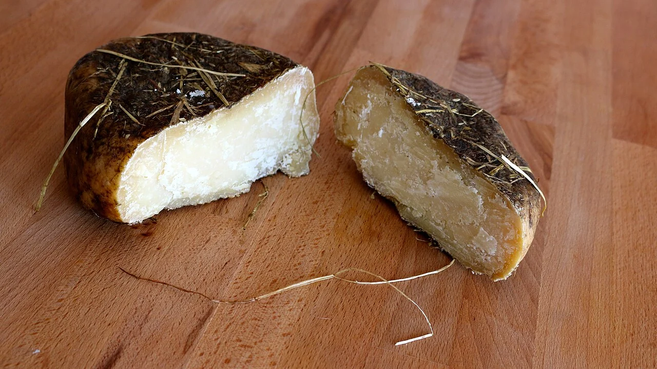 Cut Pecorino di Pienza cheese with a hay-covered rind on a wooden board