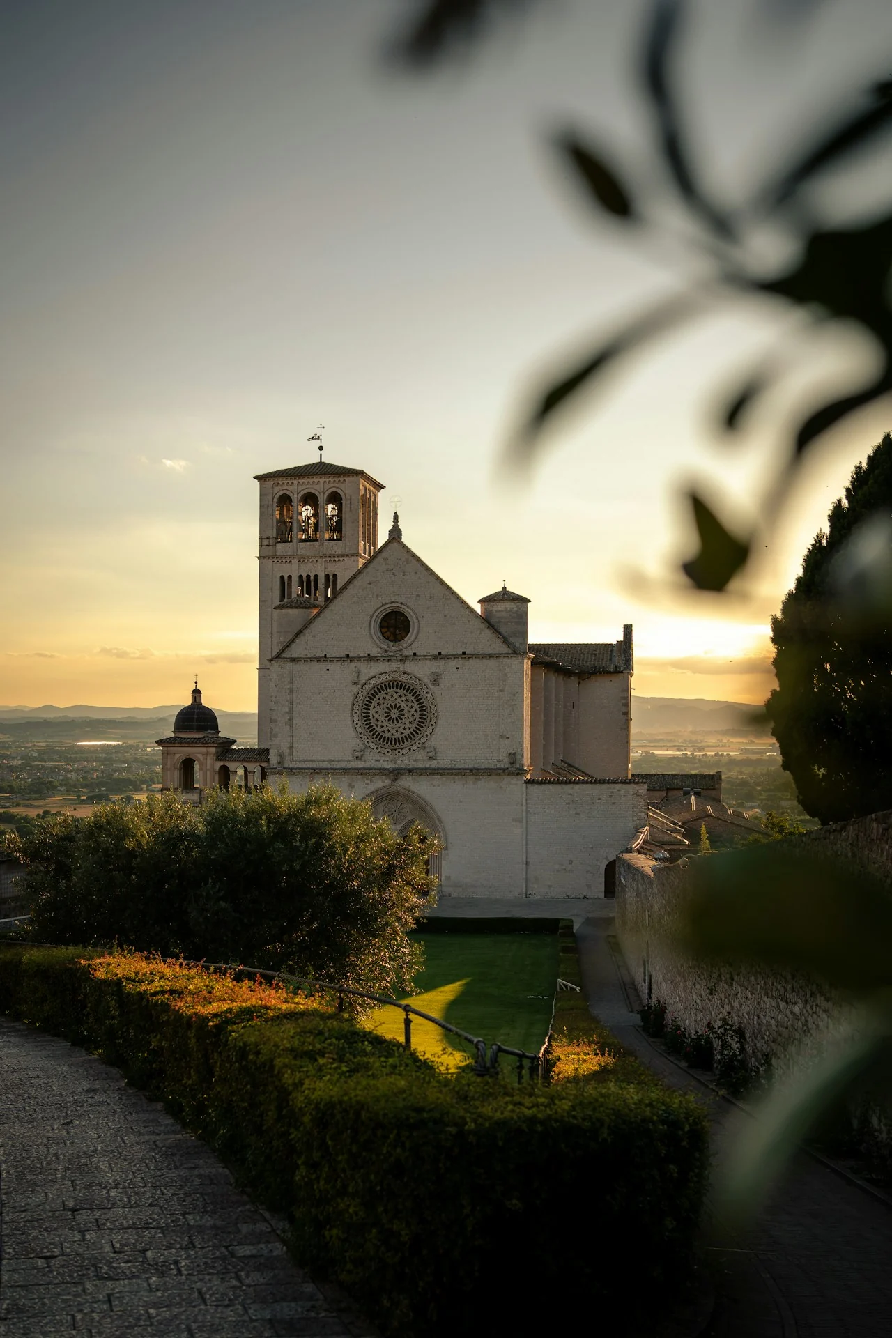 The Basilica of Saint Francis in Assisi framed by olive branches and warm evening light