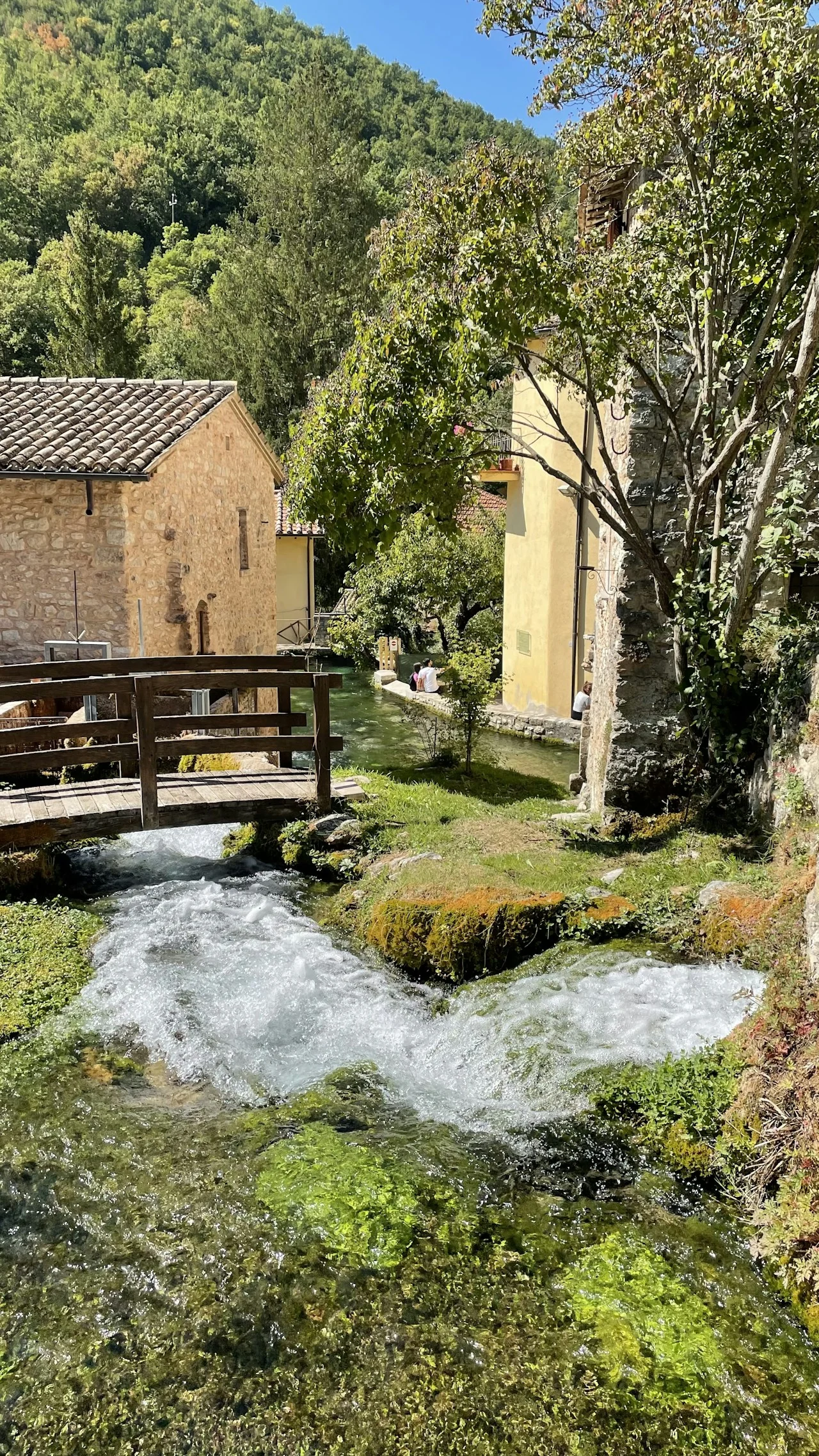 Clear water flowing beneath a wooden footbridge between village houses and trees in Rasiglia